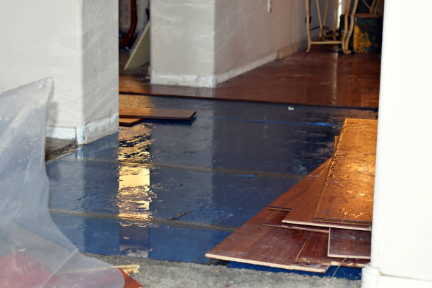 Professional Basement Water Removal technician working in Kinsman, IL